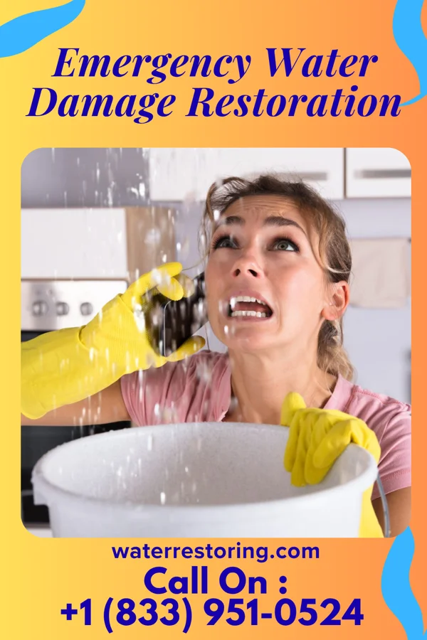 Emergency Water Damage Restoration in Crawford, MS